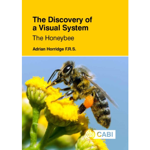 CABI Publishing The Discovery of a Visual System: The Honeybee (häftad, eng)
