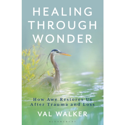 Bloomsbury Publishing PLC Healing Through Wonder (inbunden, eng)