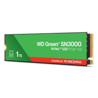 Produktbild för WD Green SN3000 WDS100T4G0E-00CPS0