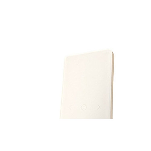PETTINAROLI Premium V4 rumtermostat