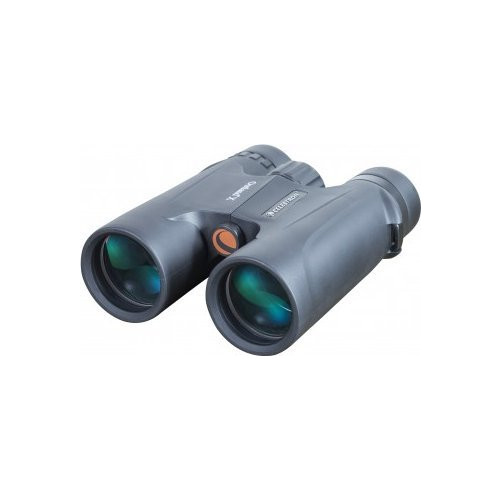 CELESTRON Celestron Outland X 71346 - kikare 8 x 42