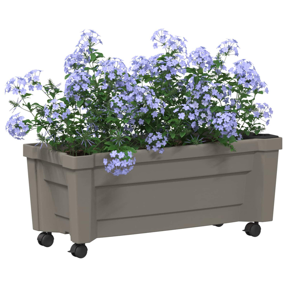 Produktbild för Calypso planta med hjul Grå 79 x 35 x 33 cm PP