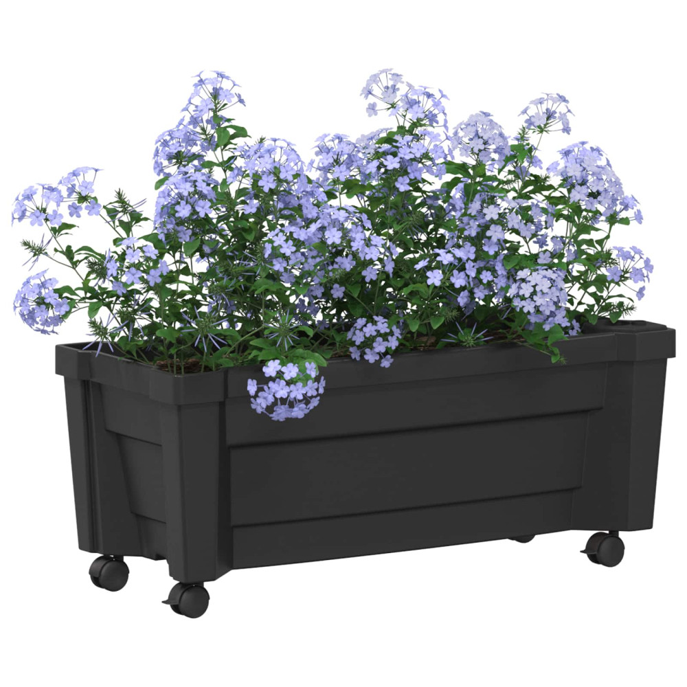 Produktbild för Calypso planta med hjul Antracit 79 x 35 x 33 cm PP