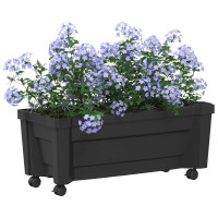 Produktbild för Calypso planta med hjul Antracit 79 x 35 x 33 cm PP