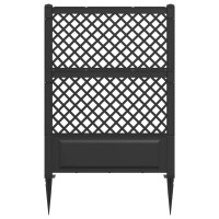 Produktbild för Trellis med spik Antracit 99 x 6 x 165 cm PP