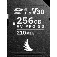 Produktbild för Angelbird SD AV PRO SD MK2 R210/W140 (V30) 256GB