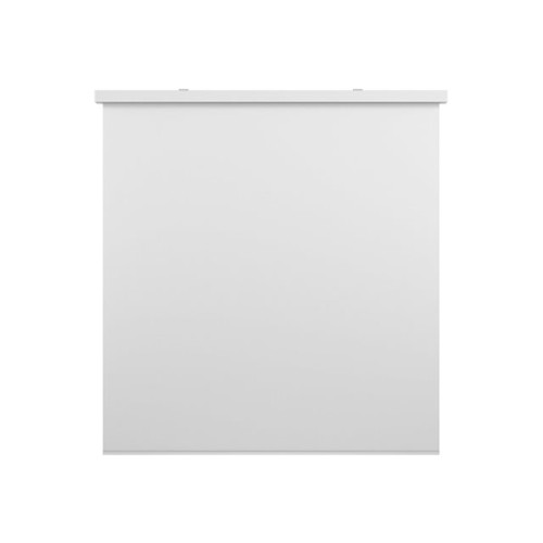 MULTIBRACKETS Multibrackets M Motorized Projection Screen Deluxe - projektorduk - 135" (343 cm)