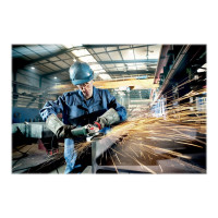 Produktbild för Metabo WE 17-125 Quick
