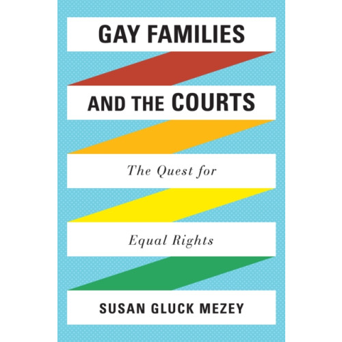 Bloomsbury Publishing PLC Gay Families and the Courts (häftad, eng)