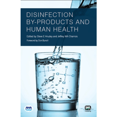 IWA Publishing Disinfection By-Products and Human Health (häftad, eng)
