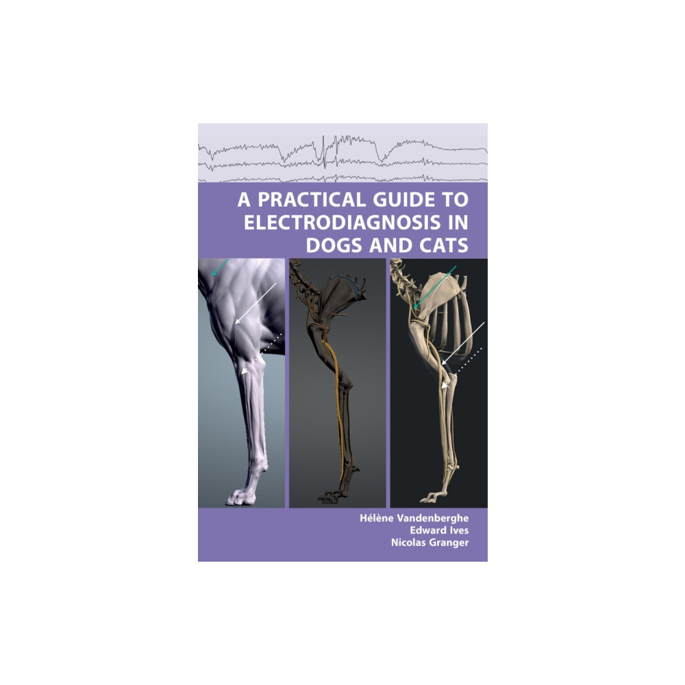Produktbild för A Practical Guide to Electrodiagnosis in Dogs and Cats (häftad, eng)