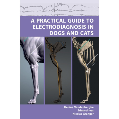 Libri Publishing A Practical Guide to Electrodiagnosis in Dogs and Cats (häftad, eng)