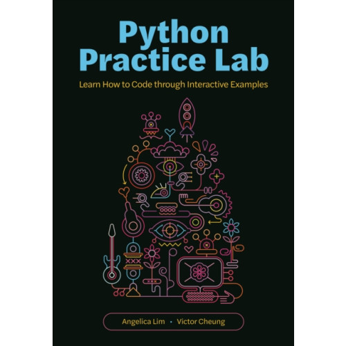 Princeton University Press Python Practice Lab (häftad, eng)