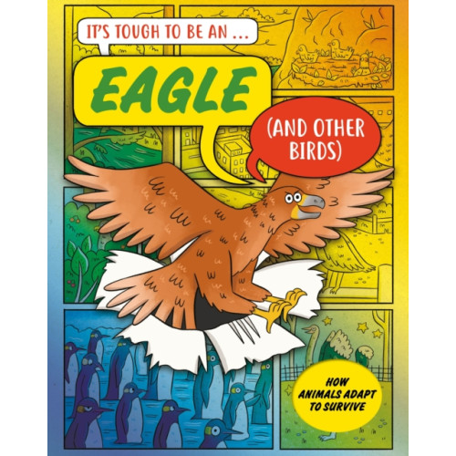 Hachette Children's Group It’s Tough to Be: An Eagle (and Other Birds) (inbunden, eng)