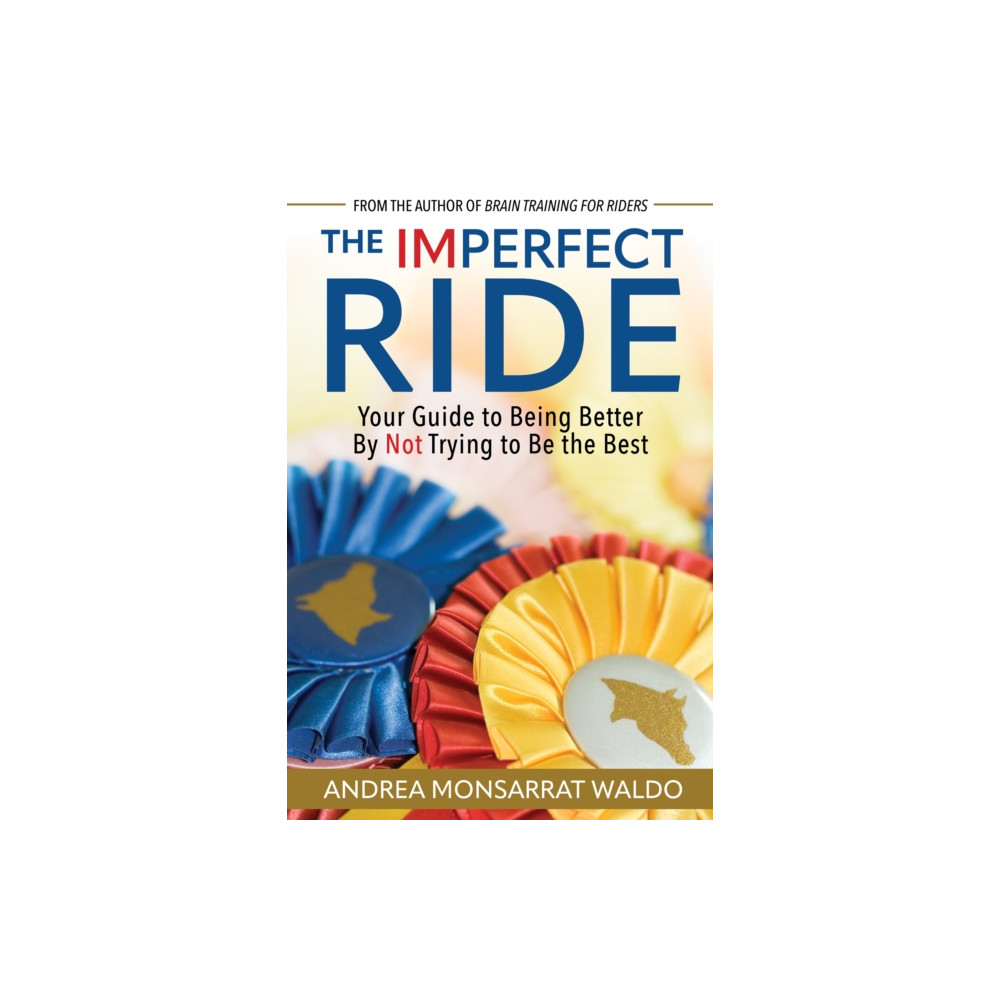 Produktbild för The Imperfect Ride (häftad, eng)