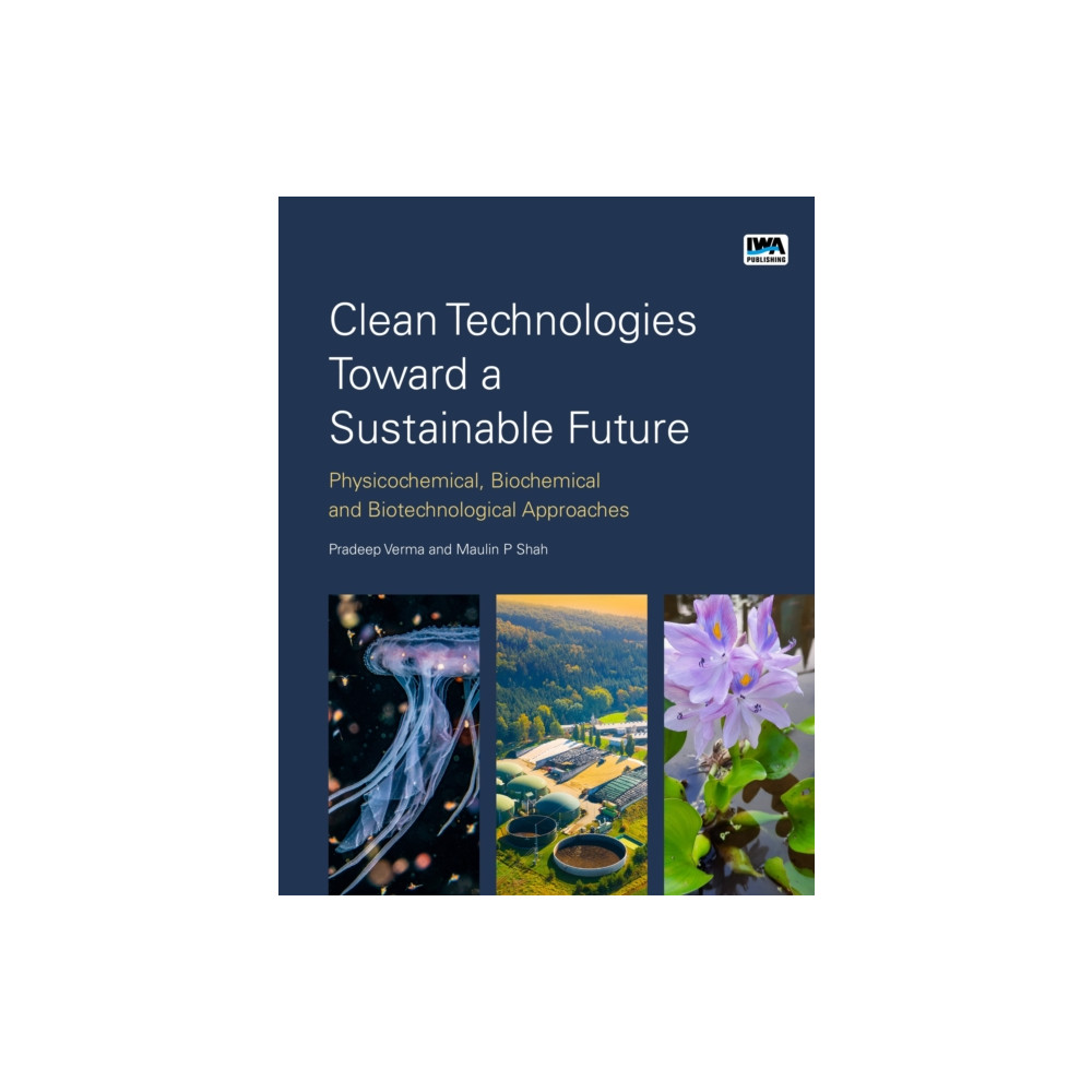 Produktbild för Clean Technologies Toward a Sustainable Future (häftad, eng)