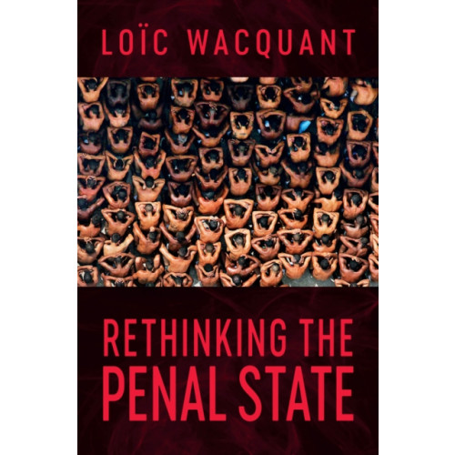 Polity Press Rethinking the Penal State (häftad, eng)