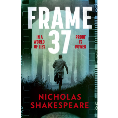Vintage Publishing Frame 37 (inbunden, eng)