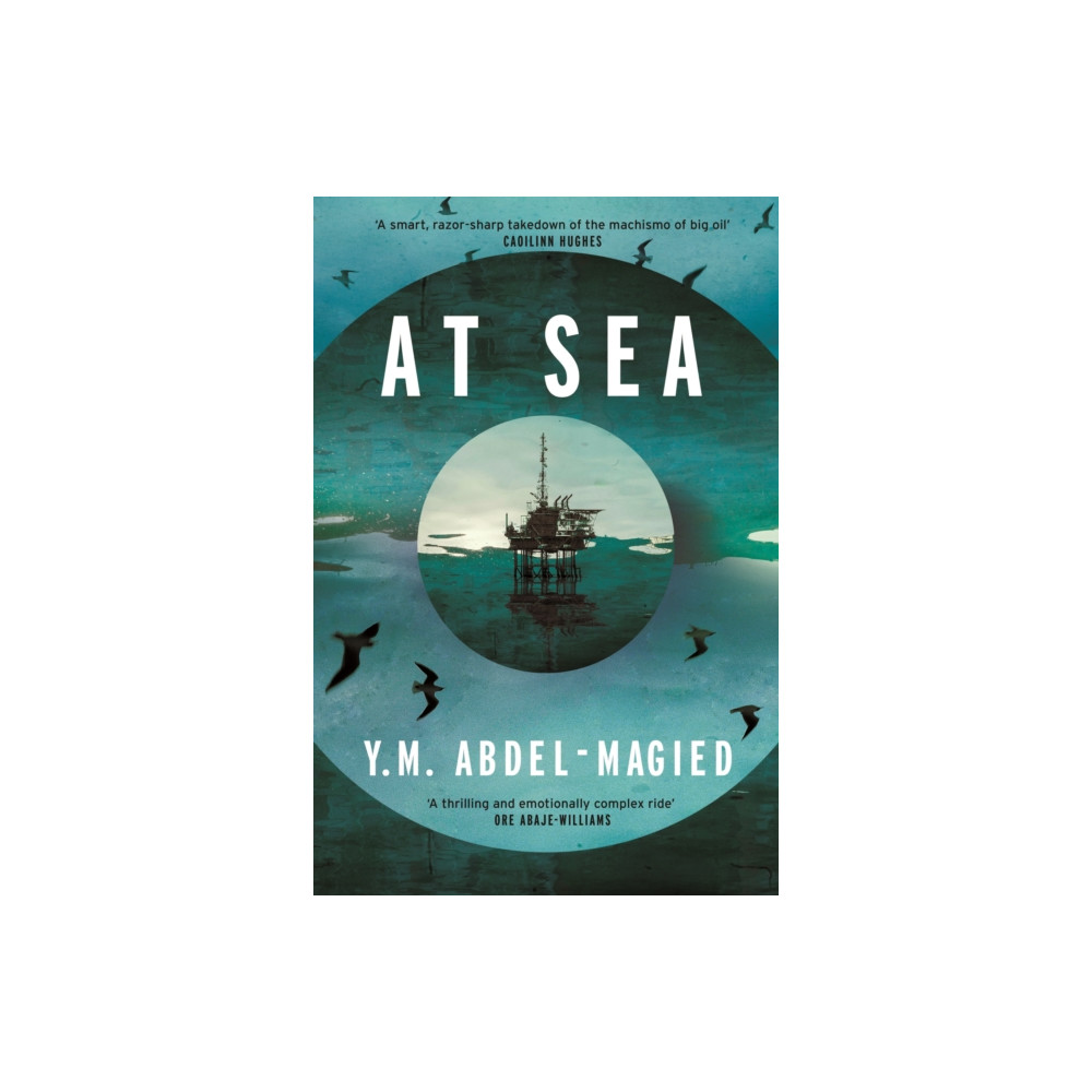 Produktbild för At Sea (inbunden, eng)