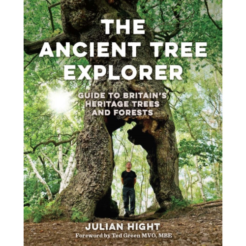 Wild Things Publishing Ltd The Ancient Tree Explorer (häftad, eng)