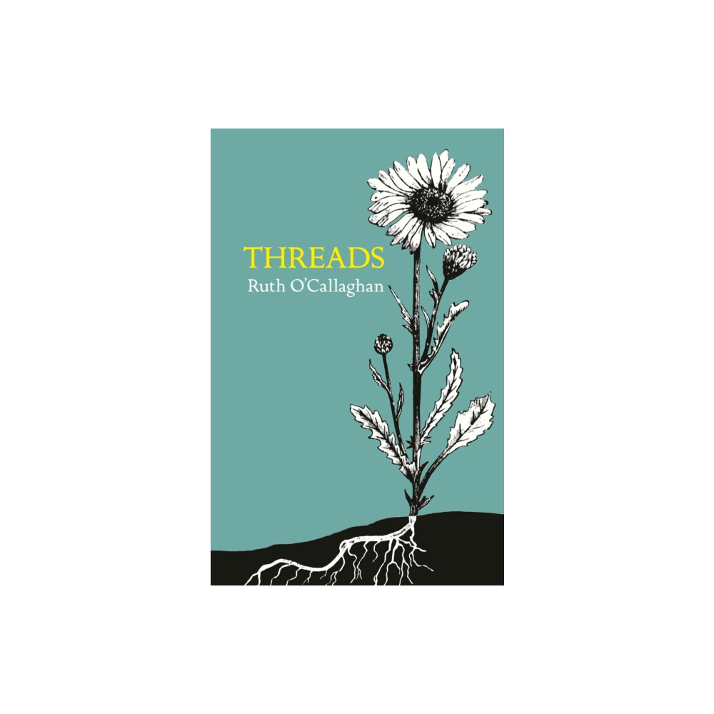 Produktbild för Threads (häftad, eng)