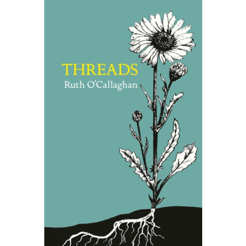 Two Rivers Press Threads (häftad, eng)