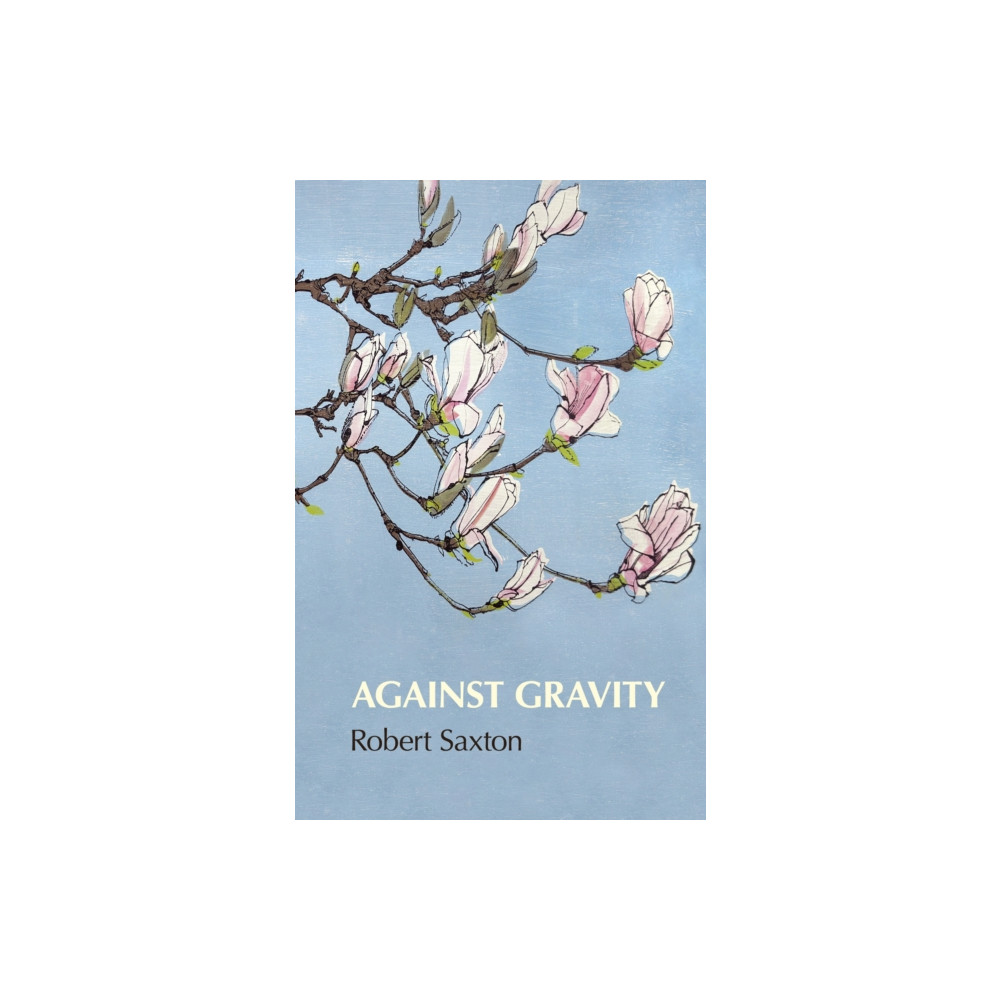 Produktbild för Against Gravity (häftad, eng)