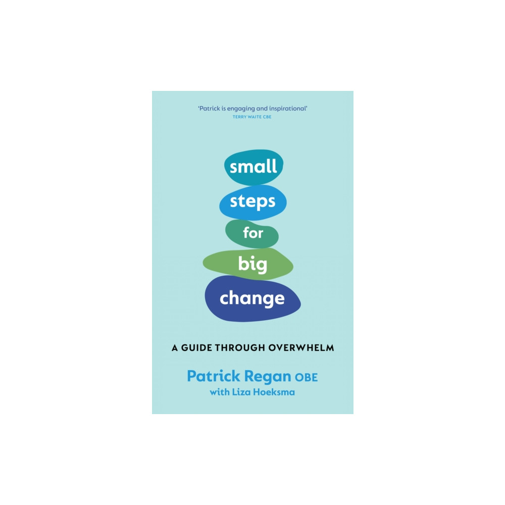 Produktbild för Small Steps for Big Change (häftad, eng)