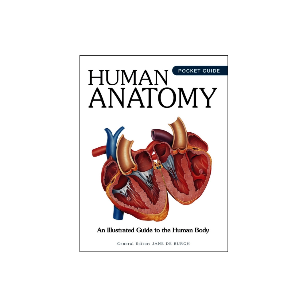Produktbild för Human Anatomy (häftad, eng)