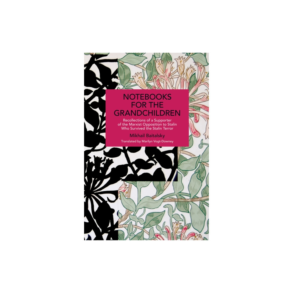 Produktbild för Notebooks for the Grandchildren (häftad, eng)
