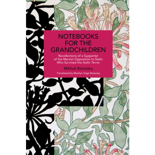 Haymarket Books Notebooks for the Grandchildren (häftad, eng)