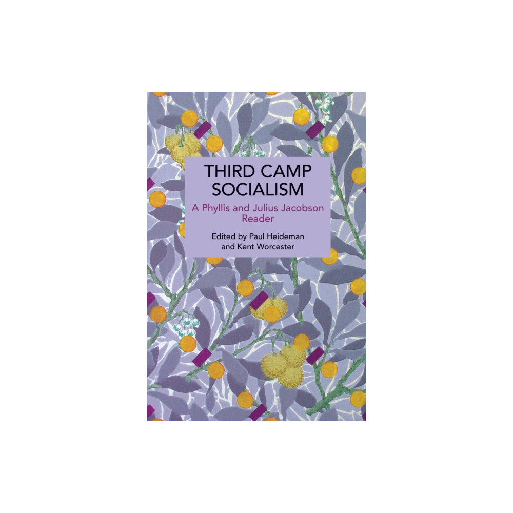 Produktbild för Third Camp Socialism (häftad, eng)