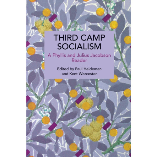 Haymarket Books Third Camp Socialism (häftad, eng)