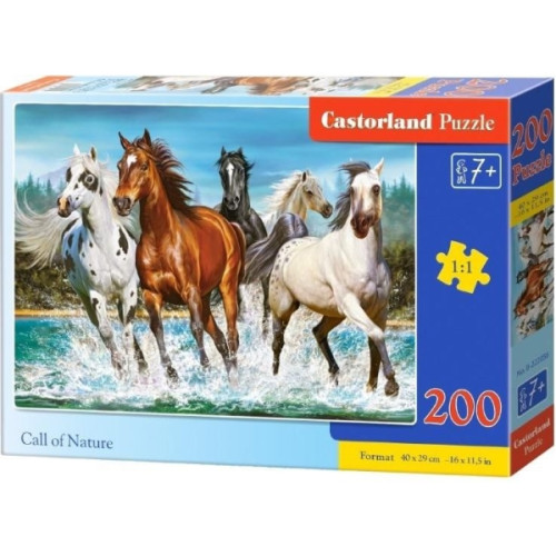 CASTORLAND Castorland B-222056 delar Hobby Call of Nature pussel, 200 b...
