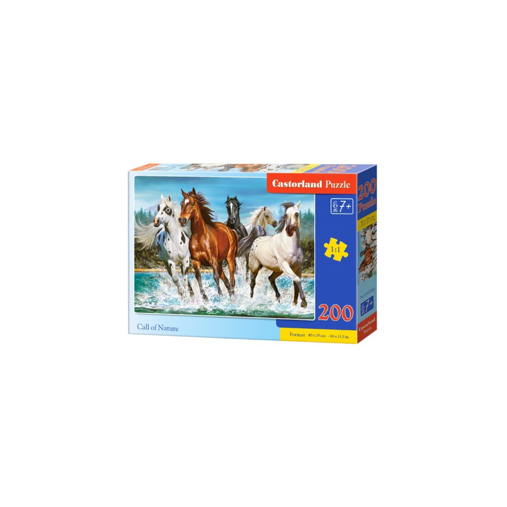 Produktbild för Castorland B-222056 delar Hobby Call of Nature pussel, 200 b...
