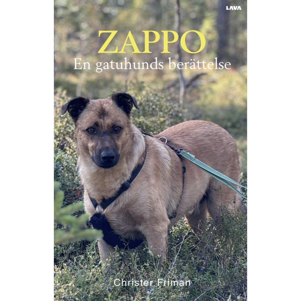 Produktbild för Zappo : en gatuhunds berättelse (bok, danskt band)