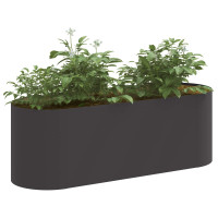 Produktbild för Höjd Trädgårdsbädd Svart 120 x 40 x 40 cm Stål