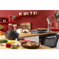 Produktbild för Tefal L76329, Svart, Aluminium, Titan, Thermo-Spot, Löstagba...