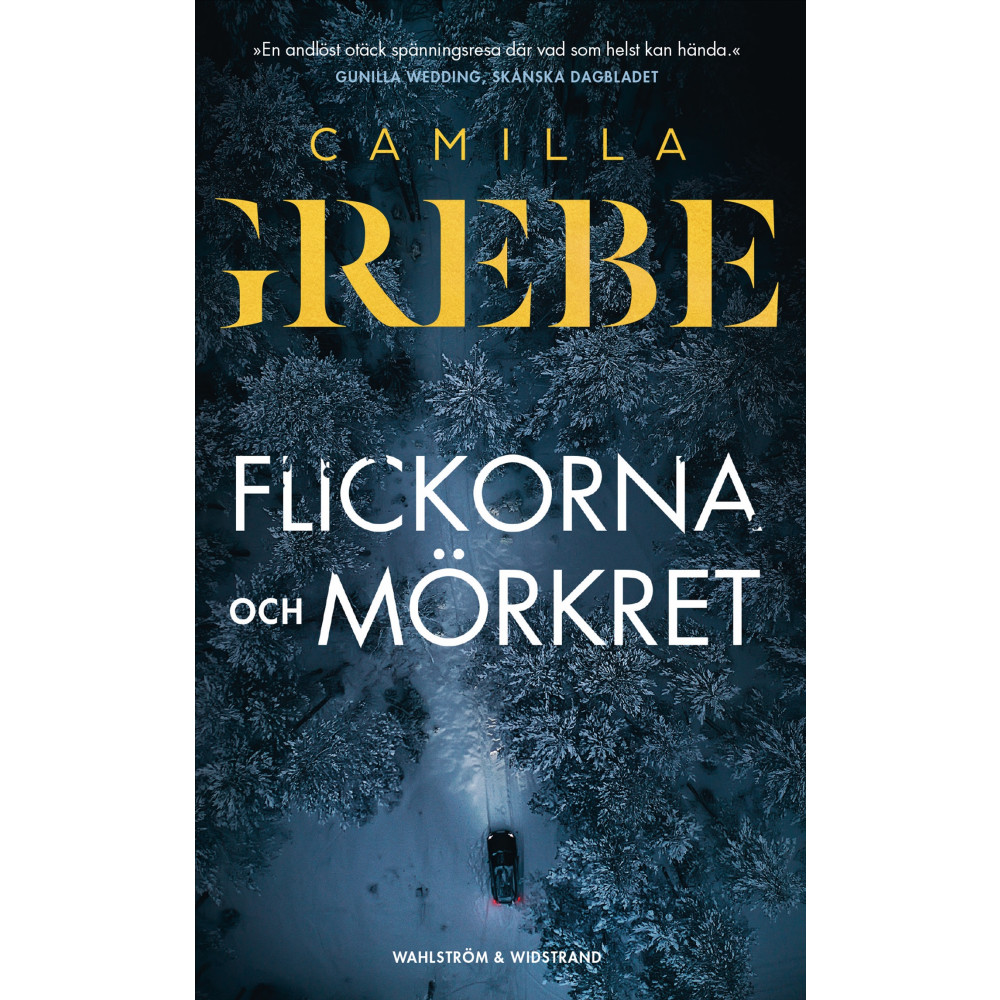 Produktbild för Flickorna och Mörkret (pocket)