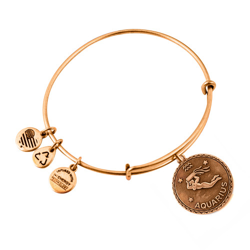 Alex and ani ALEX AND ANI A07EB40AQRG - Bracelet Dam (19-25CM)