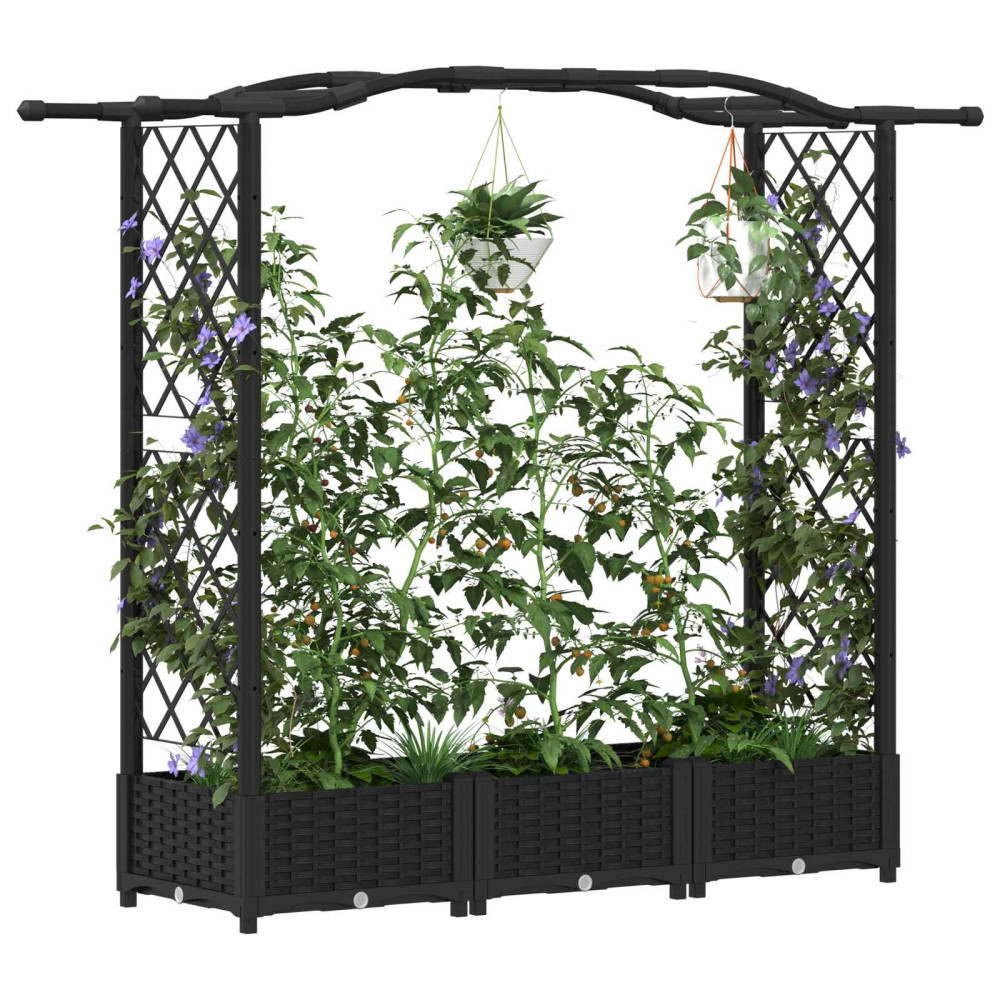 Produktbild för Upphöjd Bädd med Spaljé och Tak Svart 169 x 40 x 123 cm PP