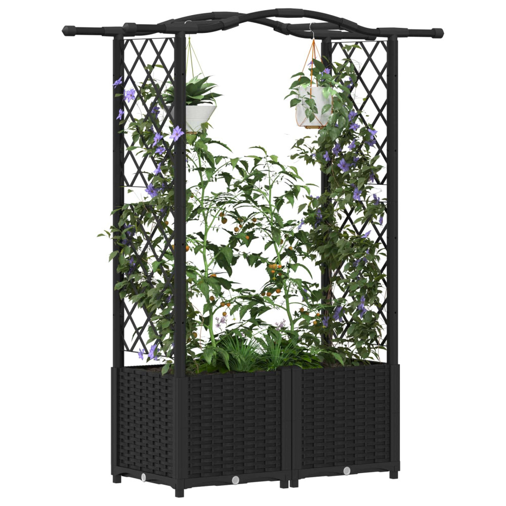Produktbild för Upphöjd Bädd med Spaljé och Tak Svart 125 x 40 x 138 cm PP