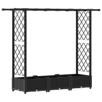 Produktbild för Upphöjd Bädd med Spaljé och Tak Svart 164 x 40 x 121 cm PP