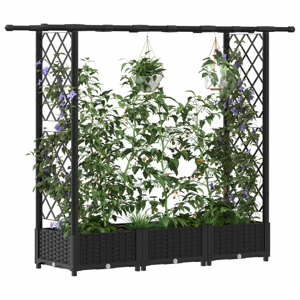 Produktbild för Upphöjd Bädd med Spaljé och Tak Svart 164 x 40 x 121 cm PP