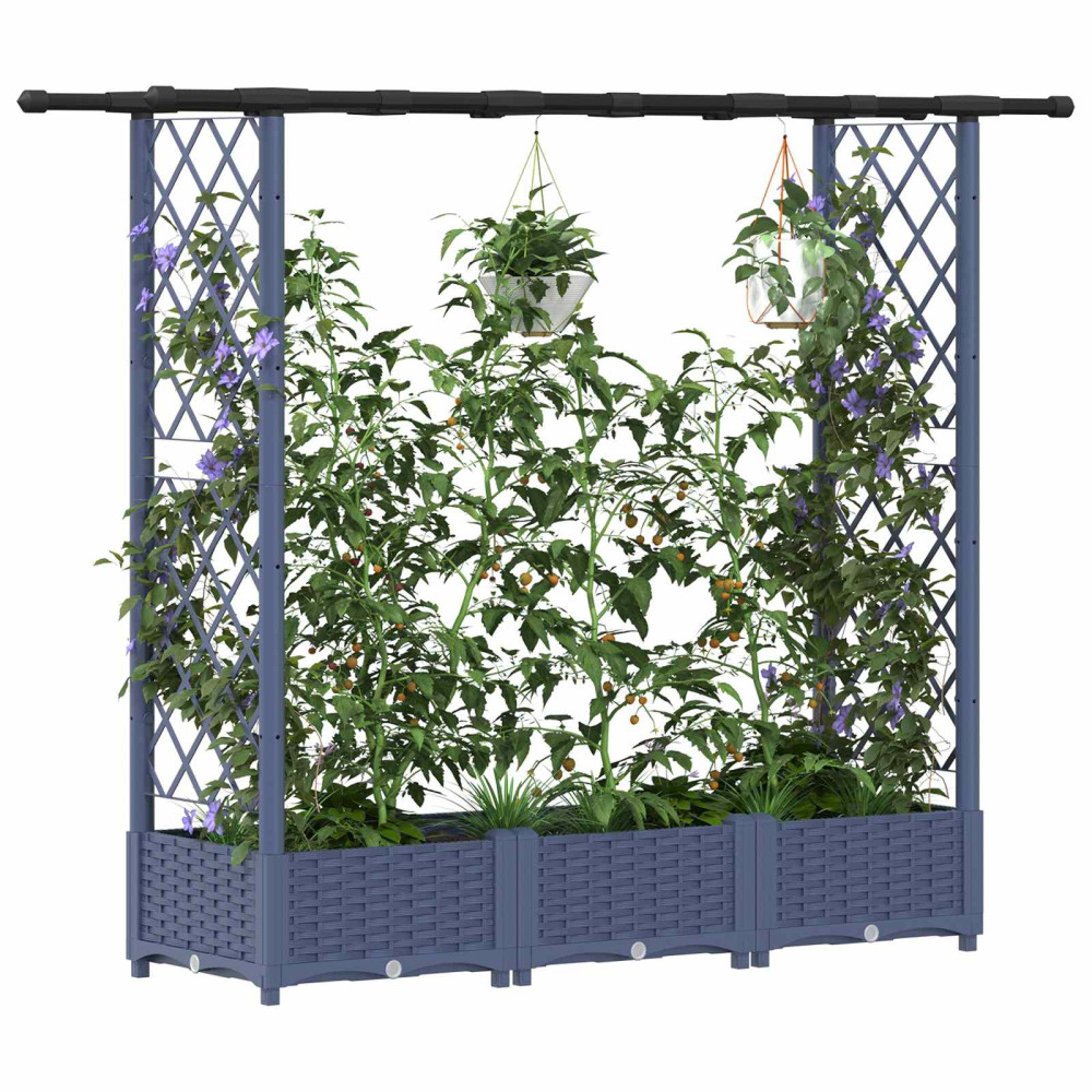 Produktbild för Upphöjd Bädd med Spaljé och Tak Grå 164 x 40 x 121 cm PP