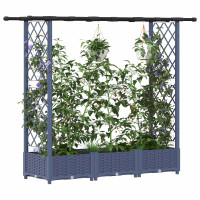 Produktbild för Upphöjd Bädd med Spaljé och Tak Grå 164 x 40 x 121 cm PP