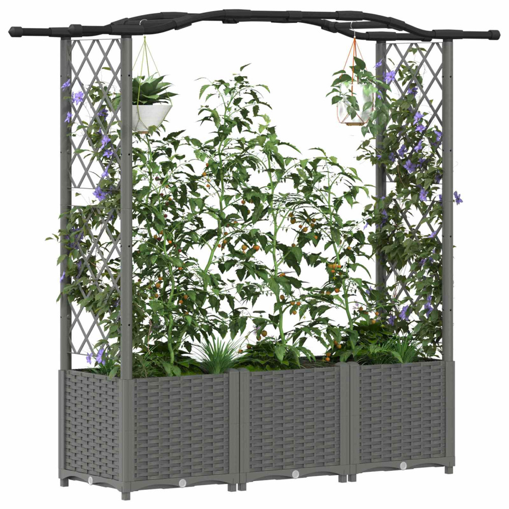 Produktbild för Upphöjd Bädd med Spaljé och Tak Ljusgrå 164 x 40 x 138 cm PP