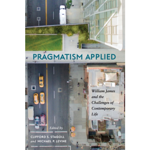 State University of New York Press Pragmatism Applied (häftad, eng)