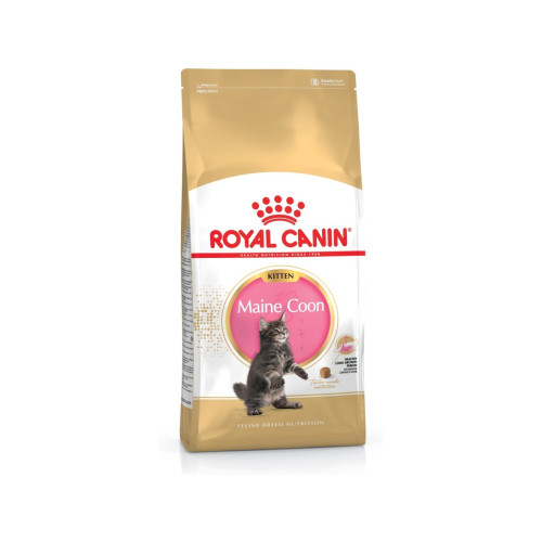 Royal Canin Royal Canin Maine Coon Kitten, Kitten, Maine Coon, Poultry,...