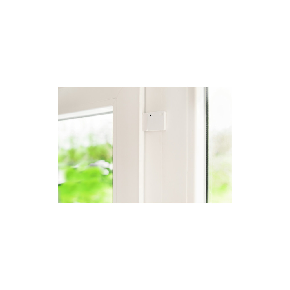 Produktbild för Shelly BLU Door Window ZB